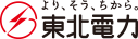 logo for TOHOKU ELECTRIC POWER CO INC