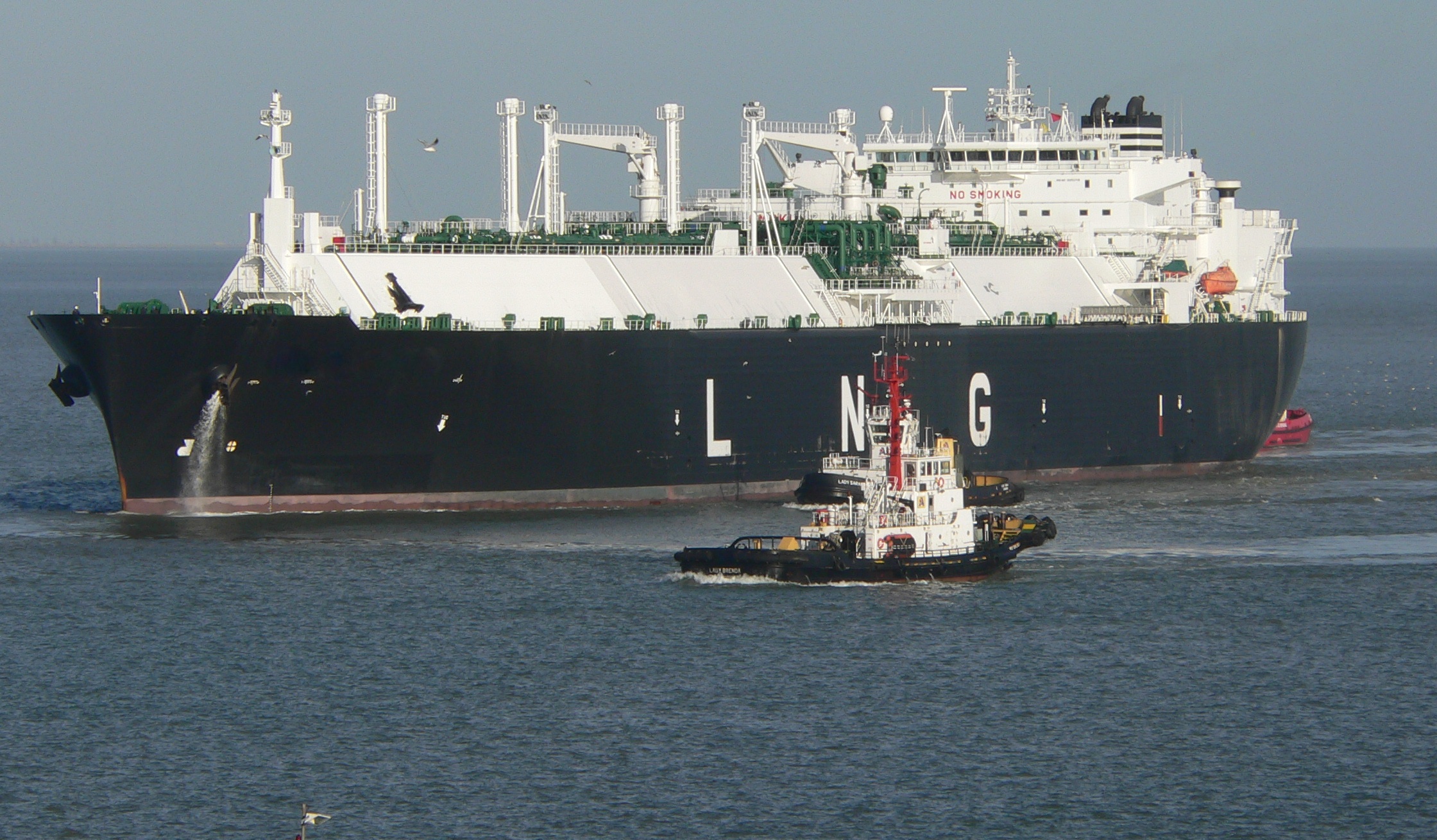 Gallery | SIGTTO - The Society of International Gas Tanker and Terminal ...